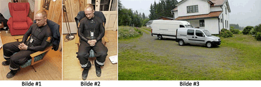 De tre bildene som har figurert i saken. triptyc.png